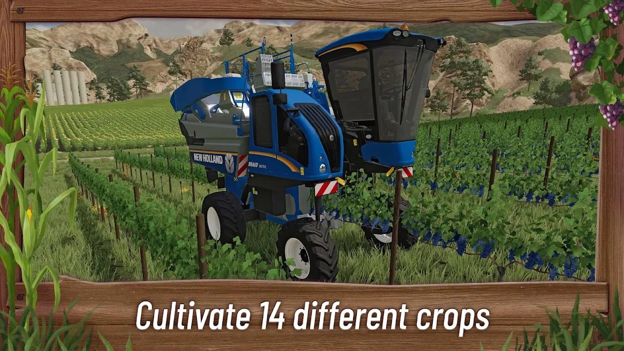 Vendemmiatrice New Holland Braud in un vigneto